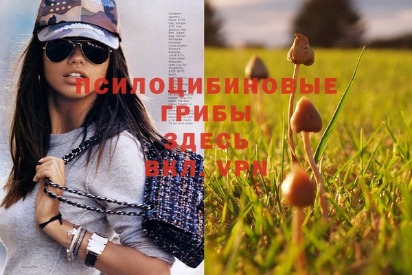 дмт Коряжма