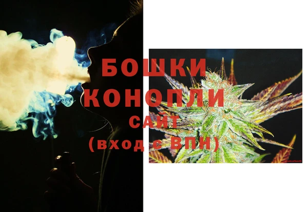 бошки Козельск