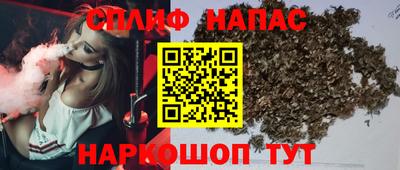 не бодяженный Гай