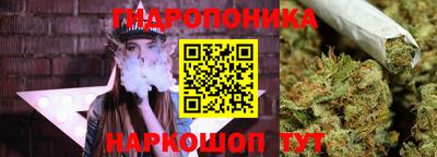 не бодяженный Гай