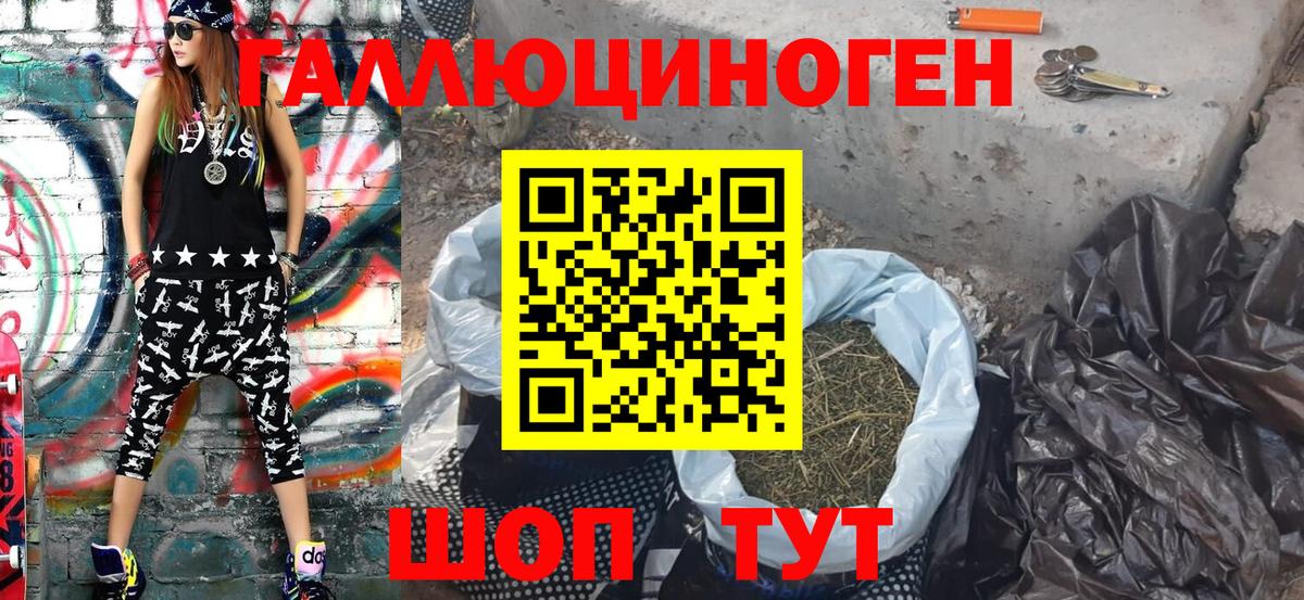 Псилоцибиновые грибы Psilocybine cubensis Калининград