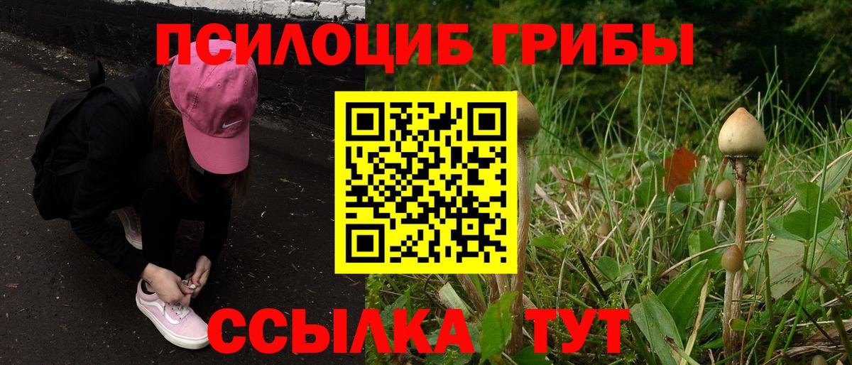 Галлюциногенные грибы Cubensis  хочу   Калининград 